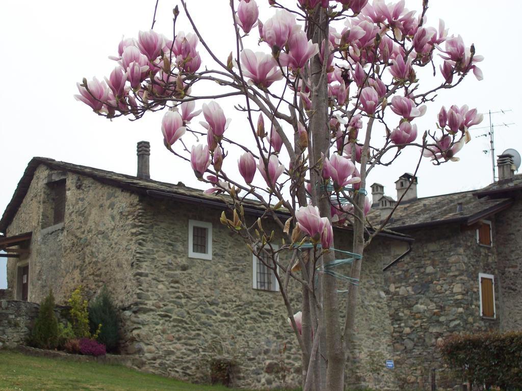 فيلا Casa San Martino تيجليو المظهر الخارجي الصورة